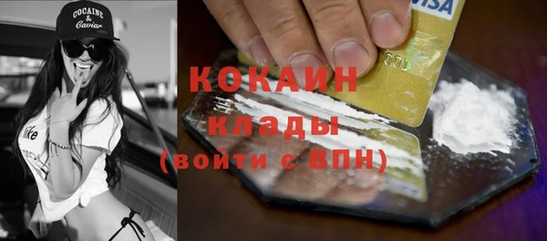 винт Богданович