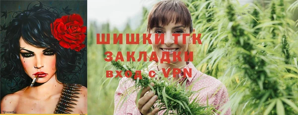 винт Богданович