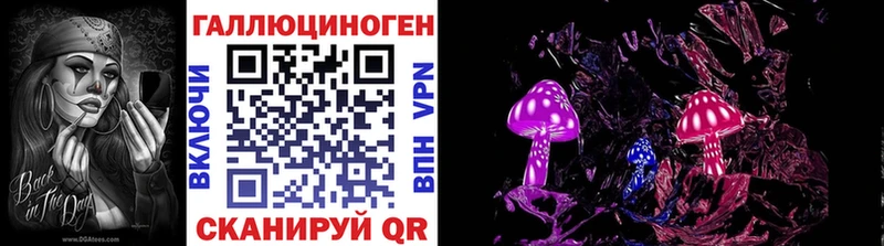 где купить наркоту Малая Вишера Галлюциногенные грибы MAGIC MUSHROOMS